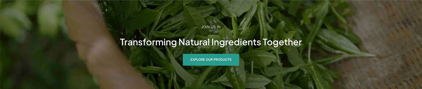 Full-width call to action band: Transforming Natural Ingredients Together