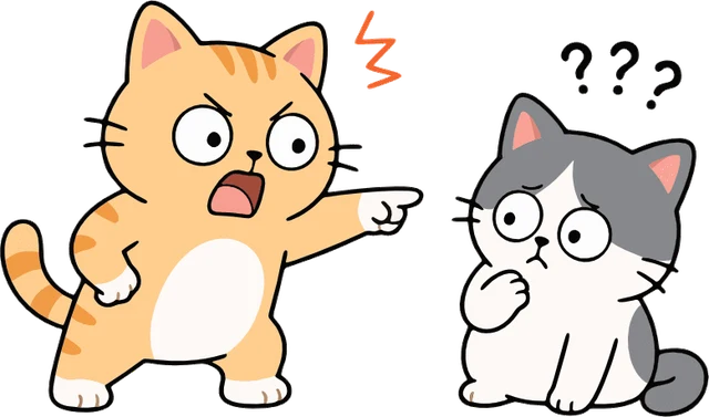 Blame game cat