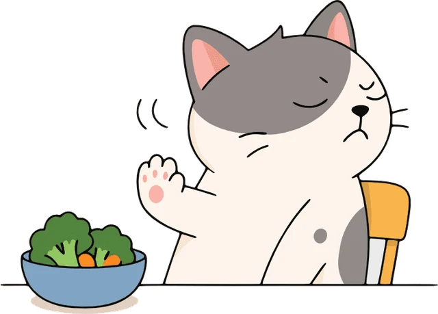 Nope cat