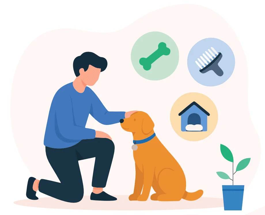 Illustration: Add-on services