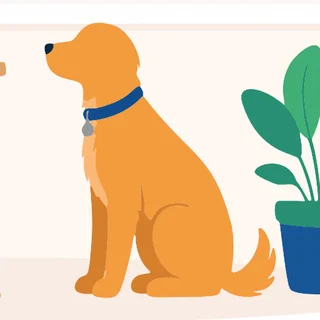 The recurring golden dog, scene 1
