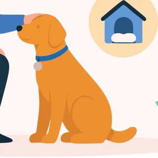 The recurring golden dog, scene 2