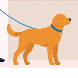 The recurring golden dog, scene 3