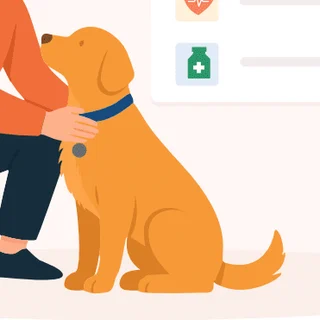 The recurring golden dog, scene 5