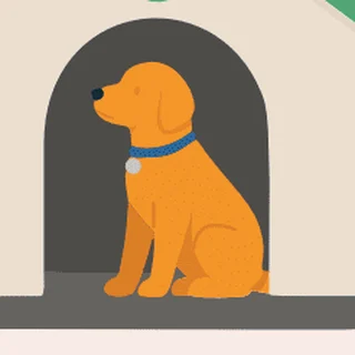 The recurring golden dog, scene 6