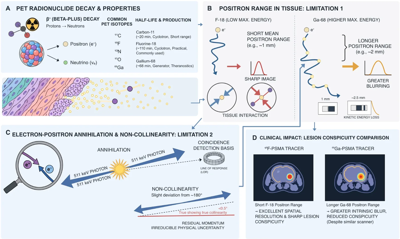 Infographic on PET radionuclide decay, positron range, annihilation, and lesion conspicuity